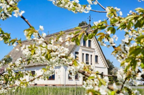 Cityappartement am Kirschberg